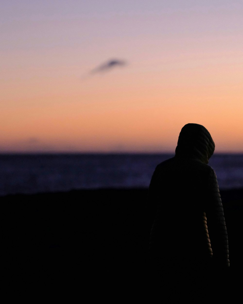 Person mit Kapuzenpullover in Ufernähe