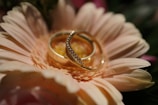 Two gold rings, one with embedded diamonds, are artfully placed on top of a light pink flower with soft petals, creating a romantic setting.