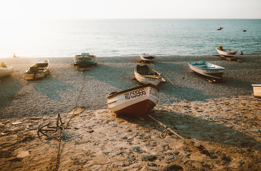 boats placed on shoreline