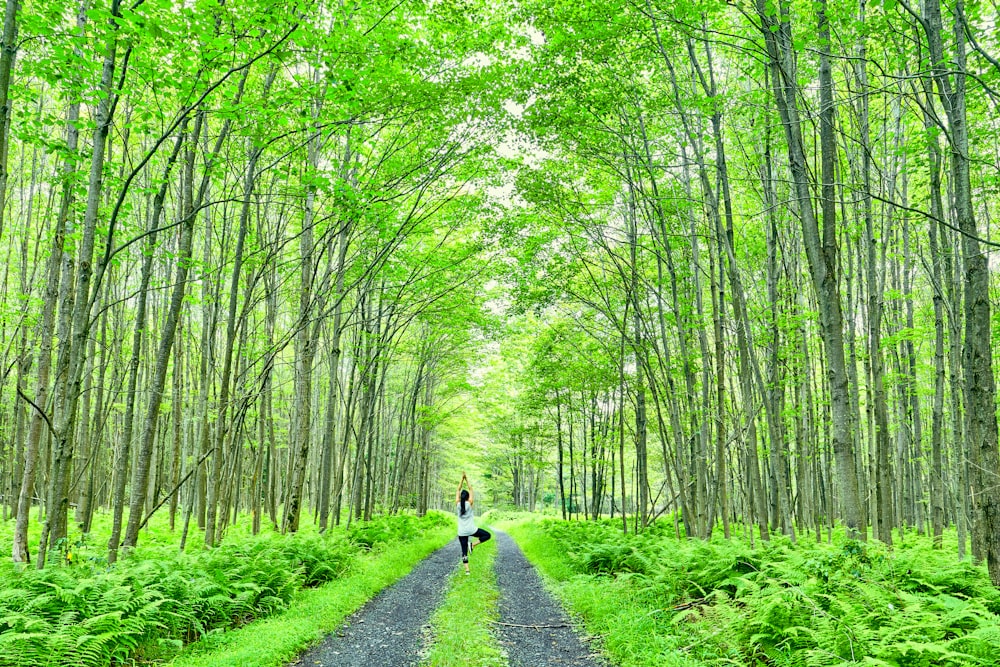 donna che cammina sotto gli alberi