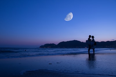 silhouette photo of coupe on seashore romantic teams background