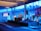 A spacious room with a modern interior design features a stage where a person is giving a presentation. Large windows line the walls, allowing blue light to fill the space. Several large screens around the room display graphics. There are potted plants and chairs adding to the decor.