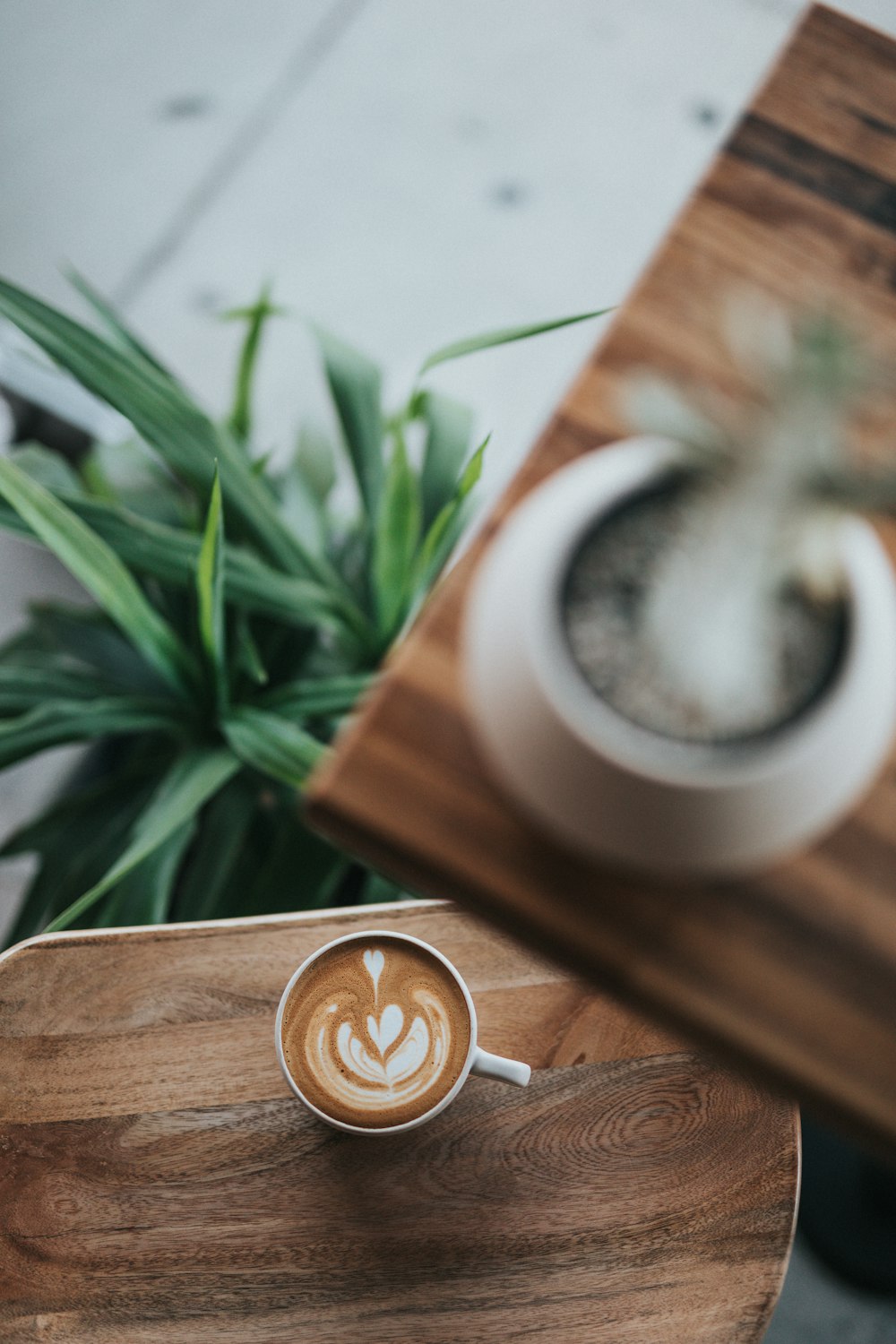 taza de té de cerámica blanca sobre escritorio de madera marrón