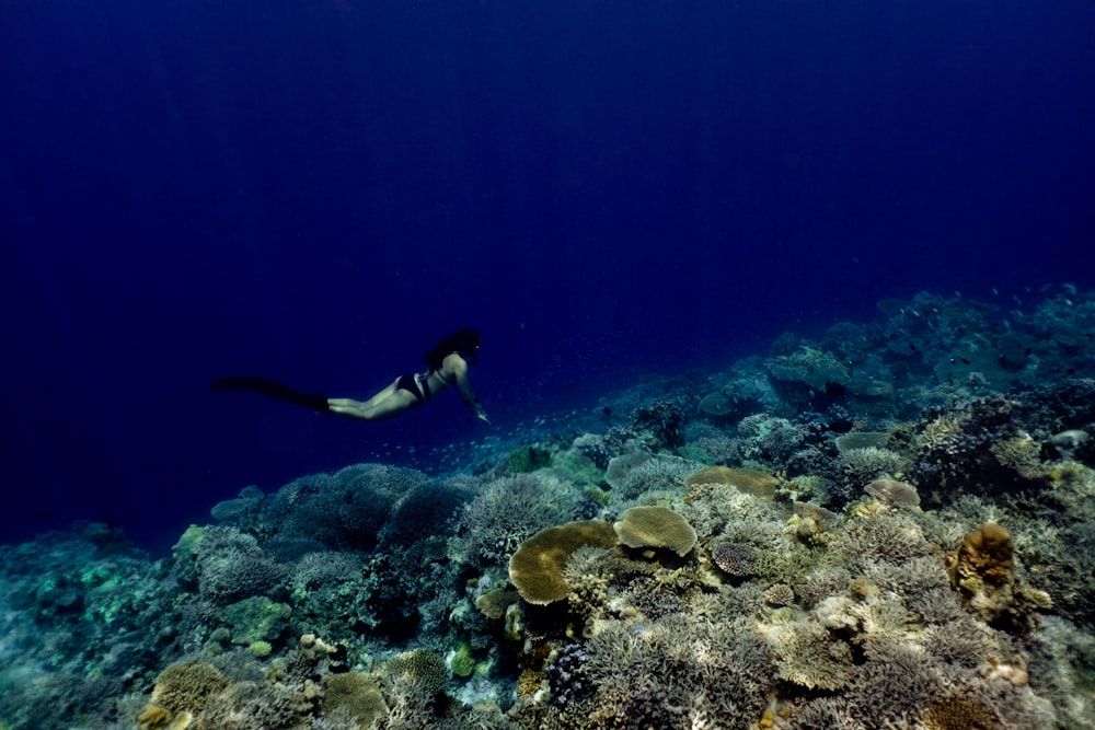 woman diving near coral reefs in body water