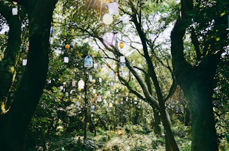 A serene moonlit forest clearing with soft glowing lanterns hanging from branches.