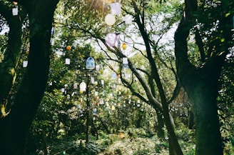 A vibrant digital print of a magical forest with glowing mushrooms and floating lanterns.