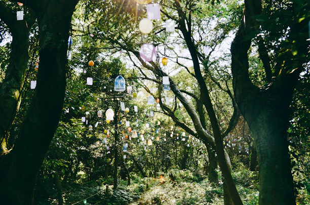 A serene moonlit forest clearing with soft glowing lanterns hanging from branches.