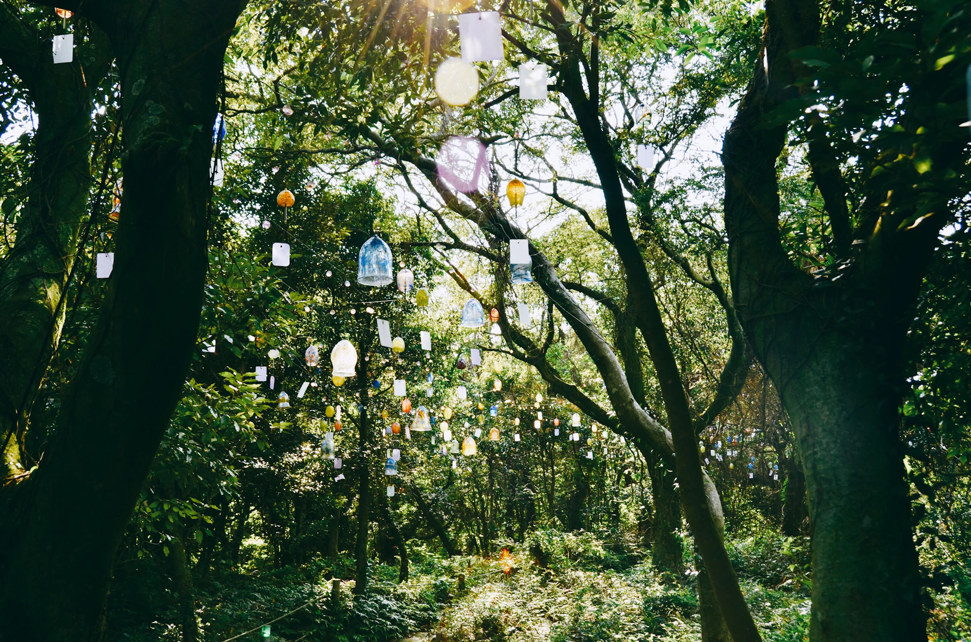 gray computer monitor