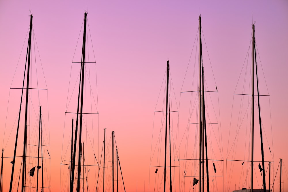 sailboat mask during golden hours