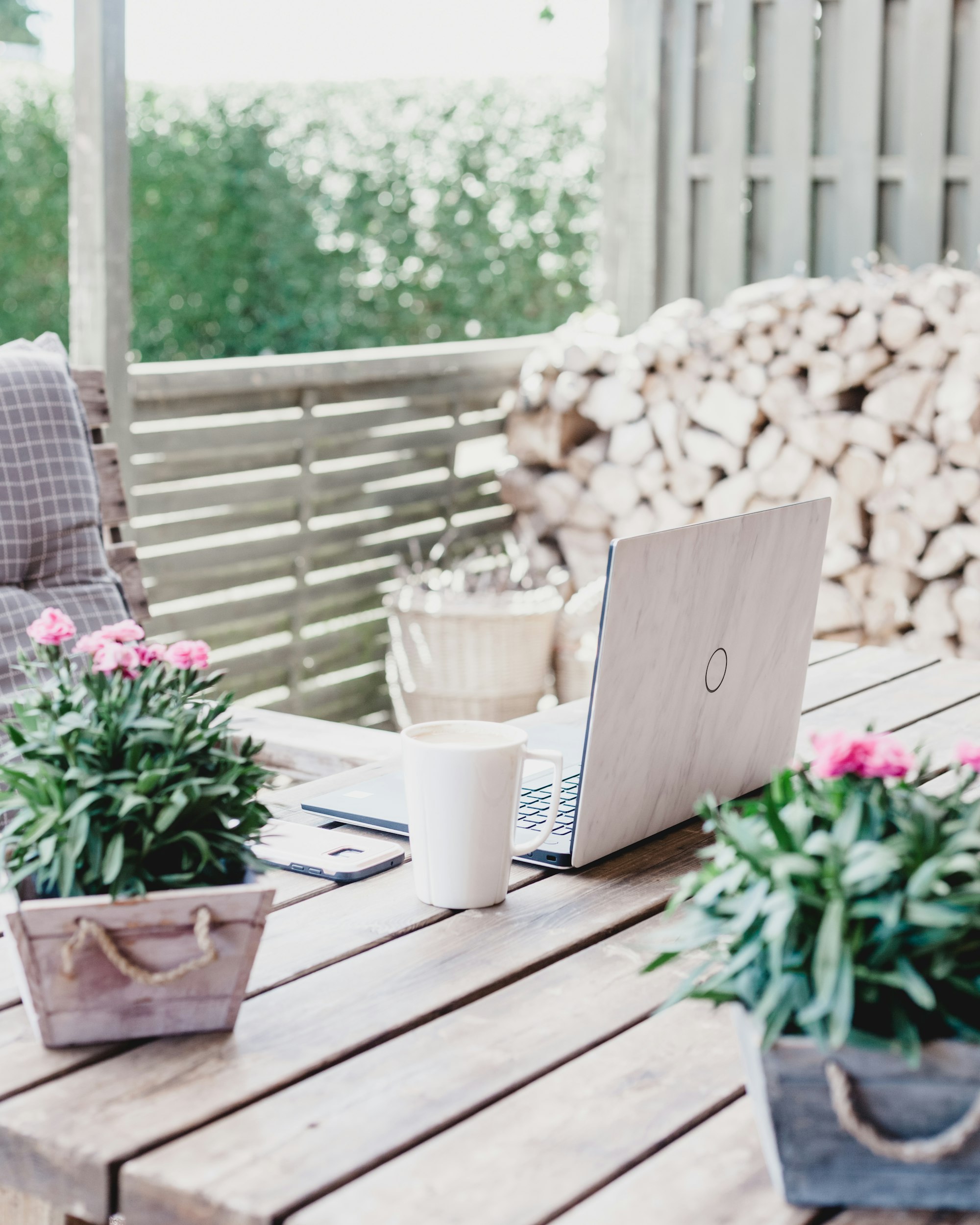 Pequeño negocio online de plantas con macetas de diseño