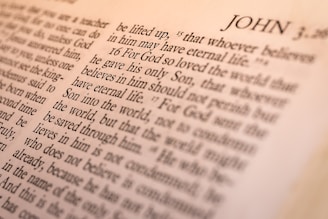 book of John page