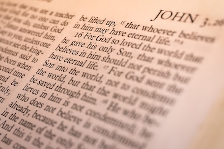 book of John page
