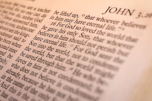 book of John page