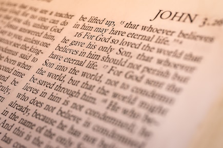 book of John page