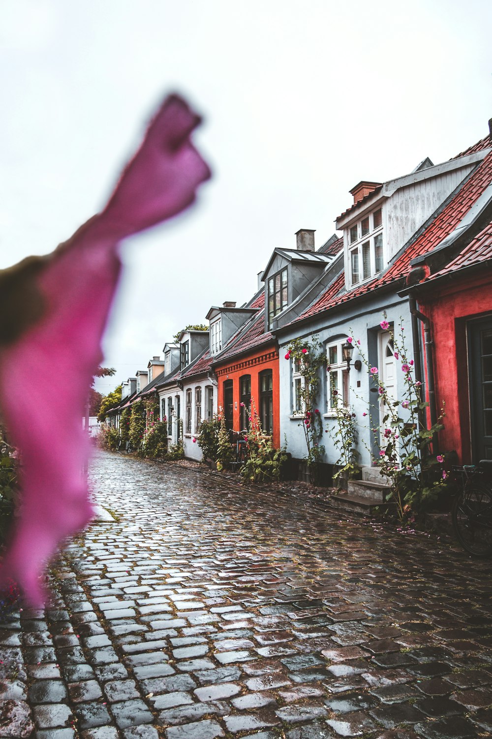 Photographie de paysage de maisons de peinture de couleurs assorties