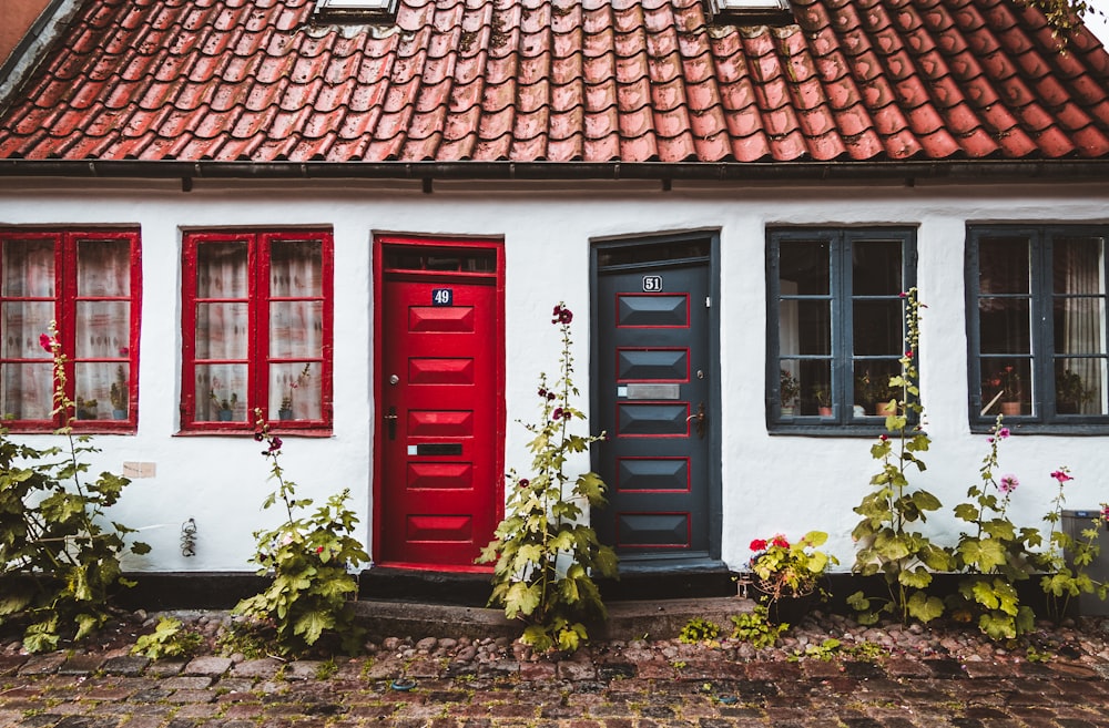 zwei rote und schwarze Haustüren mit Pflanzen