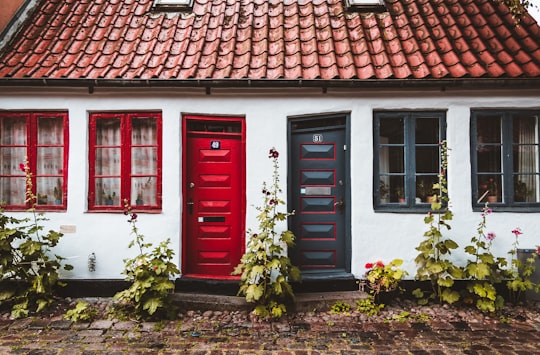 two red and black house door with plants in Møllestien Denmark