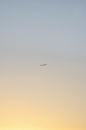 An animated plane ascending against a gradient sky transitioning from day to sunset.