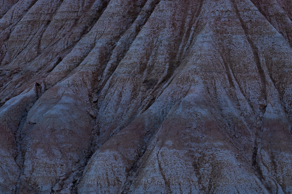 a bird flying over the top of a mountain