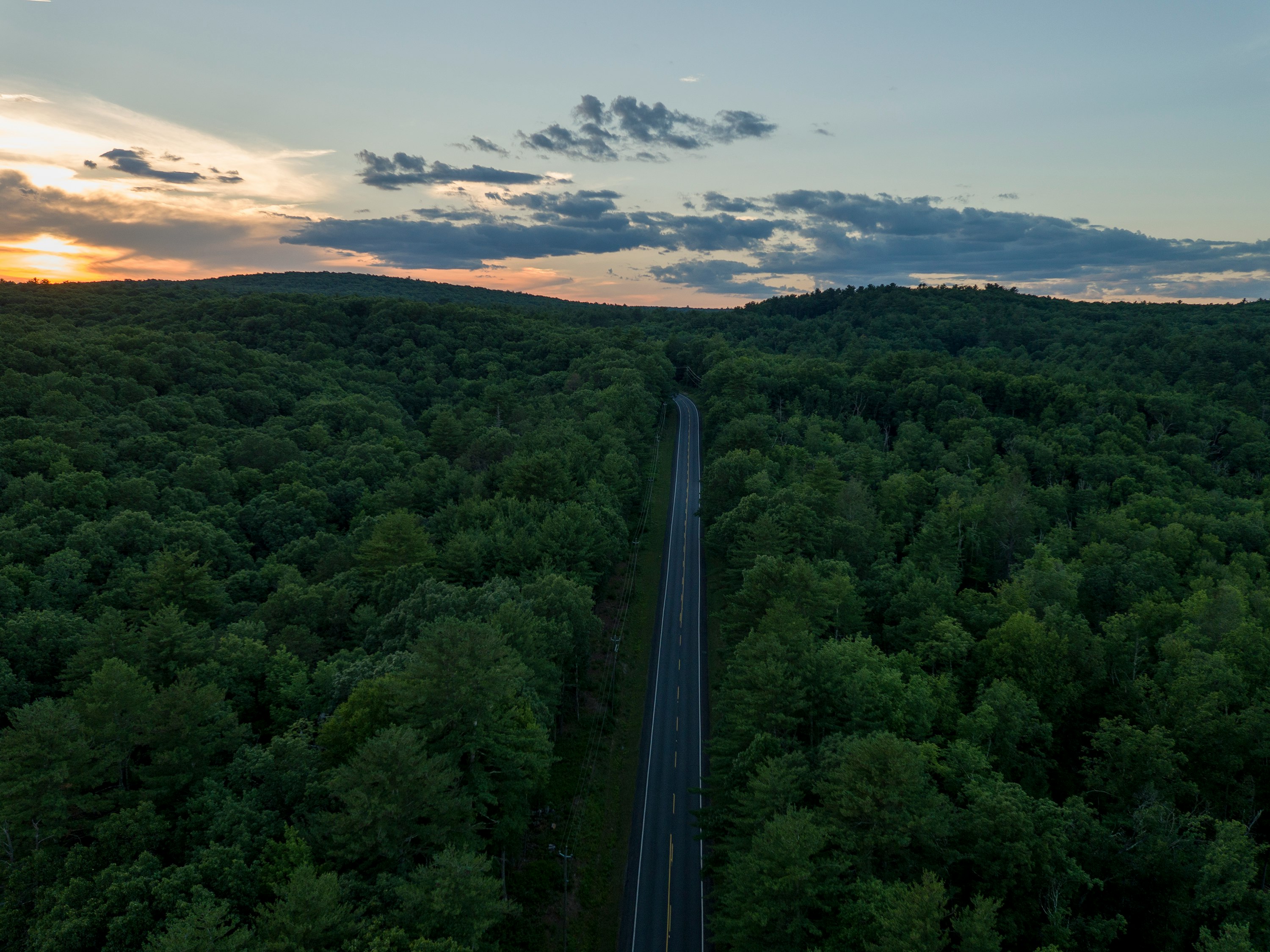 aerial photography of road between trees during golden hour