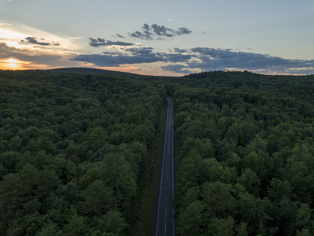 aerial photography of road between trees during golden hour