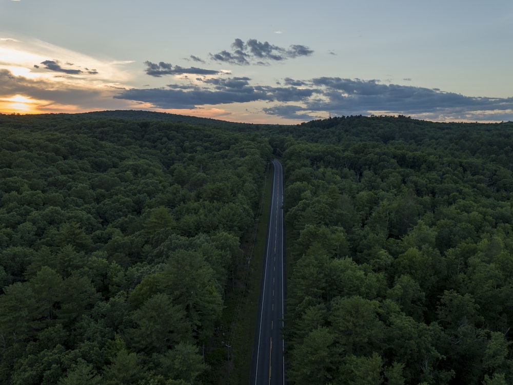 Photographie aérienne de la route entre les arbres pendant l’heure dorée