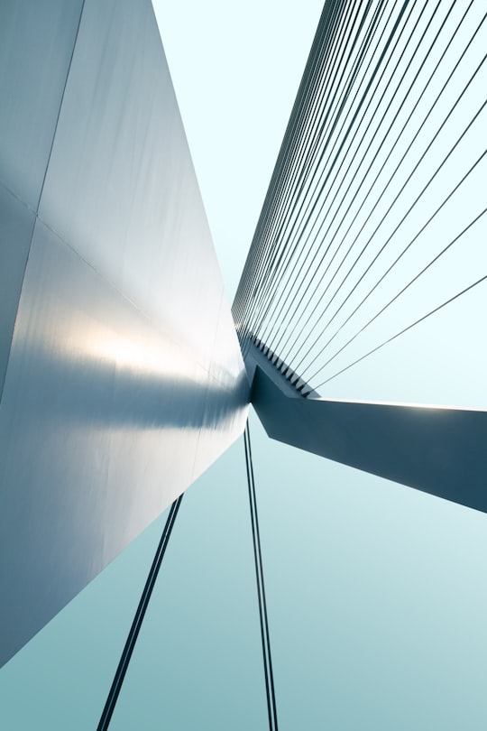 low-angle photography of building in Erasmusbrug Netherlands