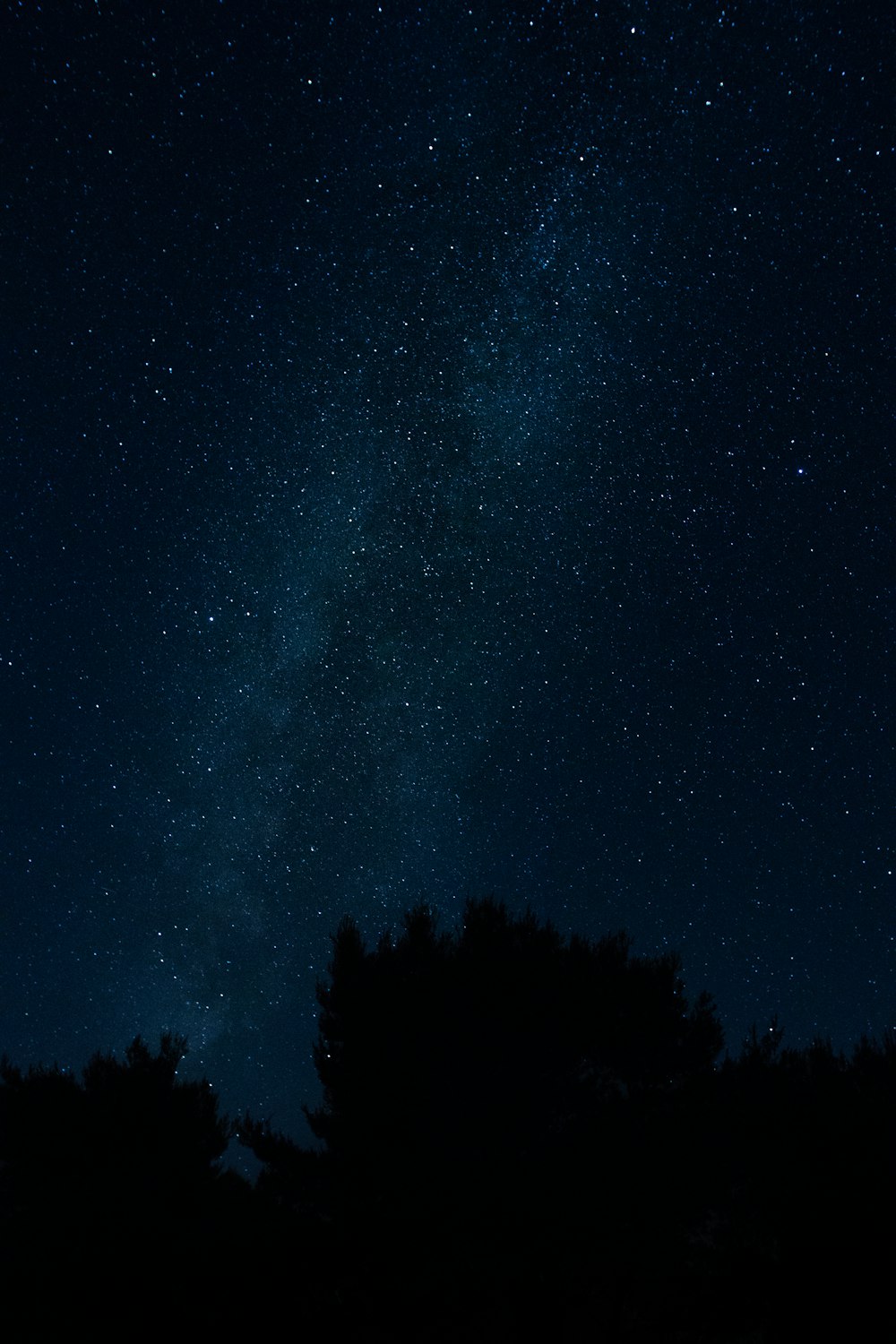 stars at the sky during night time