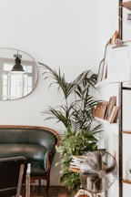 gray fan beside indoor green plants