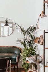 gray fan beside indoor green plants