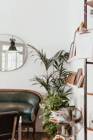 gray fan beside indoor green plants
