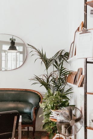 gray fan beside indoor green plants