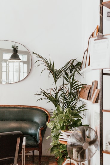 gray fan beside indoor green plants