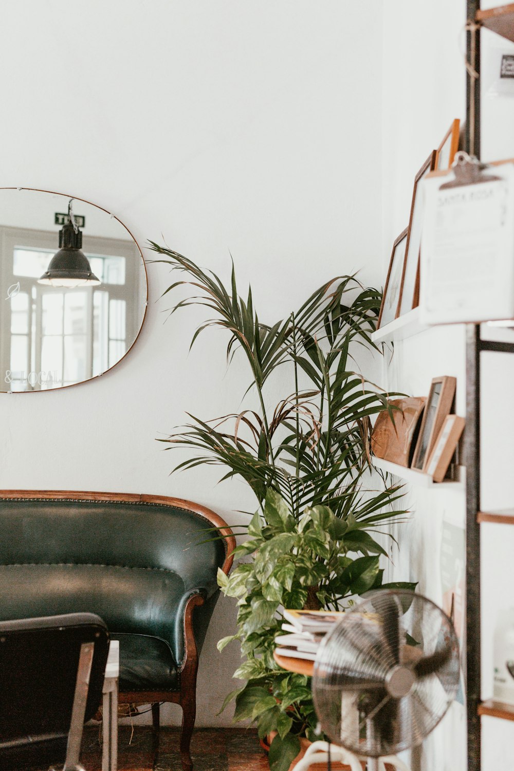 100 Decoration Pictures Download Free Images On Unsplash