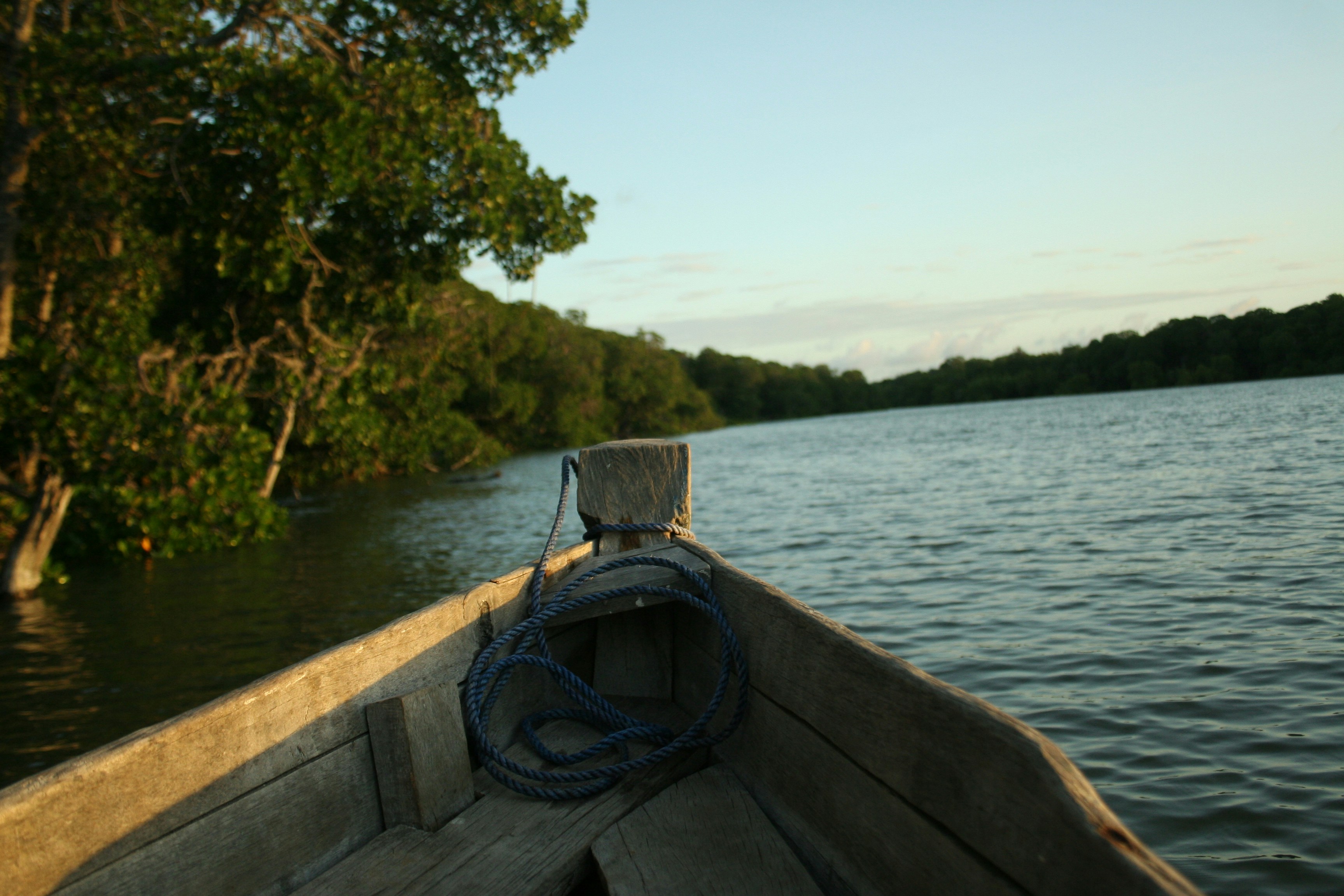 photo 1531833722395 7c8dc316dbb1?ixlib=rb 4.0