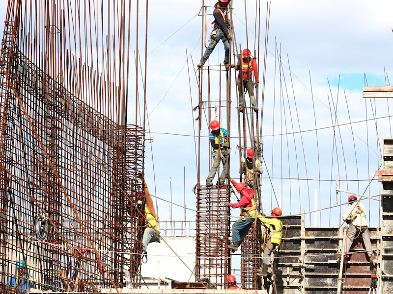 Regional Bridges Development