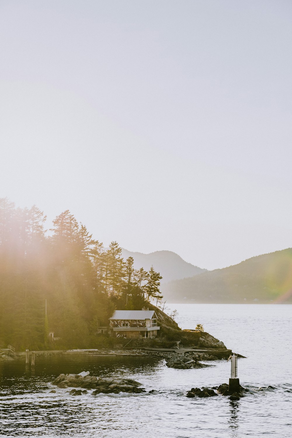 scenery of cabin beside of trees during daytime