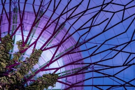 A complex architectural structure featuring a web-like framework with branches extending outward, intertwined with green foliage. The backdrop includes a serene sky filtered through the structure, creating a mesh of geometric lines and natural elements.