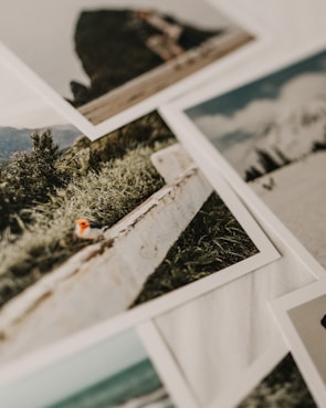A collection of printed photographs scattered on a surface, with images depicting natural landscapes, including grassy fields and shorelines. The focus is on a photograph featuring a wooden fence alongside green vegetation.