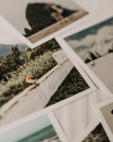 A collection of printed photographs scattered on a surface, with images depicting natural landscapes, including grassy fields and shorelines. The focus is on a photograph featuring a wooden fence alongside green vegetation.