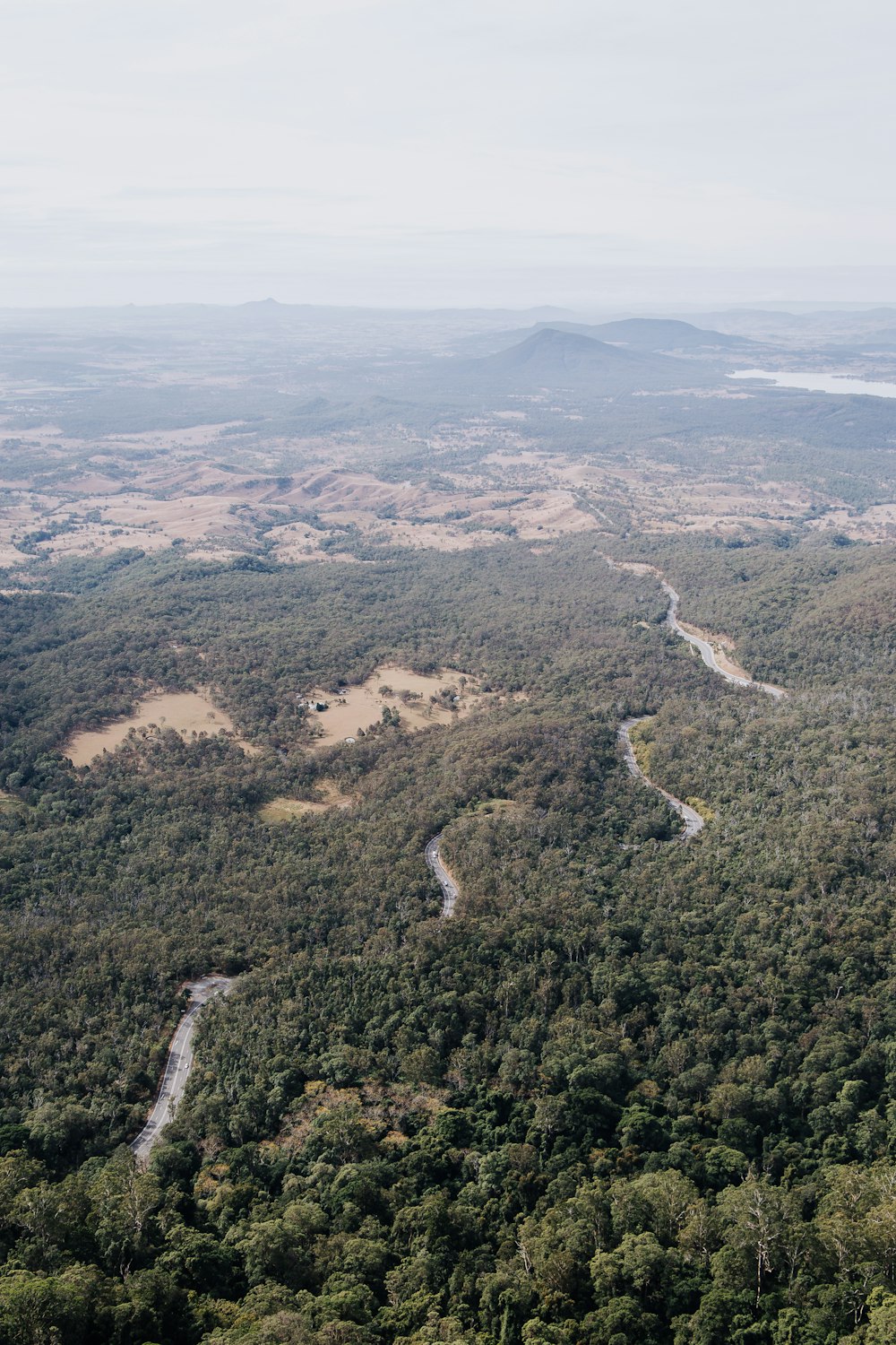 Ein Fluss, der durch einen üppigen grünen Wald fließt