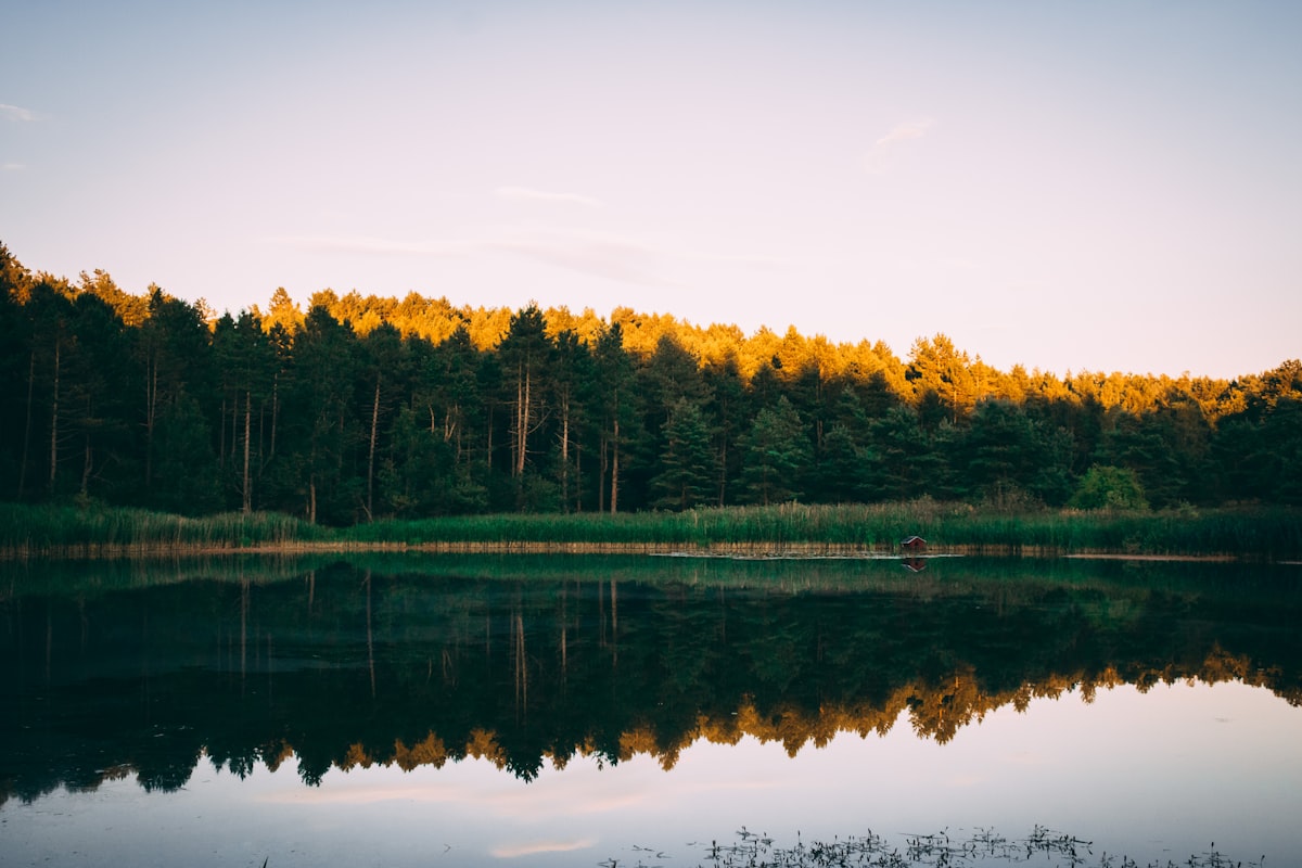 Lej sommerhus og find sommerhuse til leje hos os.