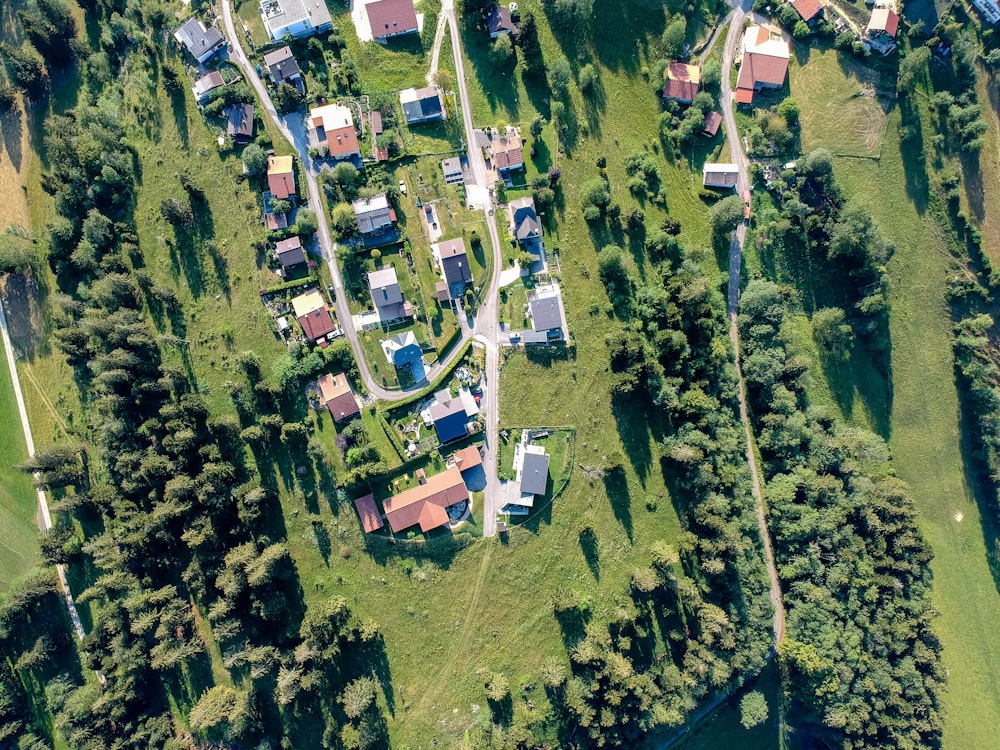 aerial view photography of village