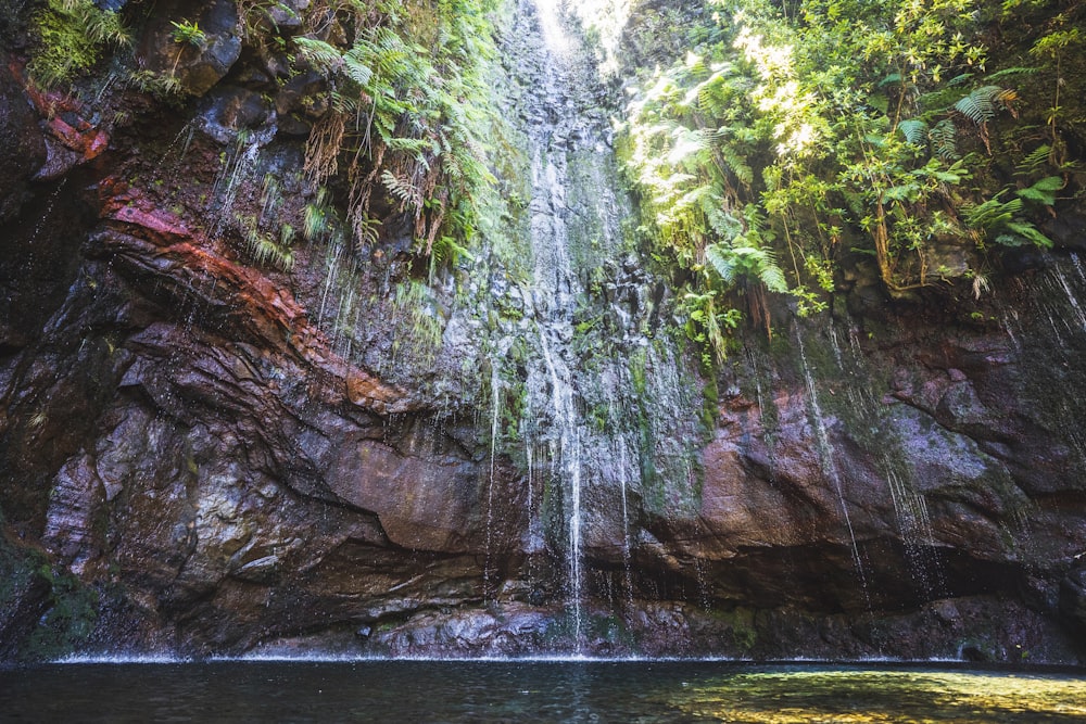 time lapse photography of waterfalls with grass on rocks