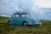 blue Volkswagen Beetle on grass field