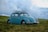 blue Volkswagen Beetle on grass field