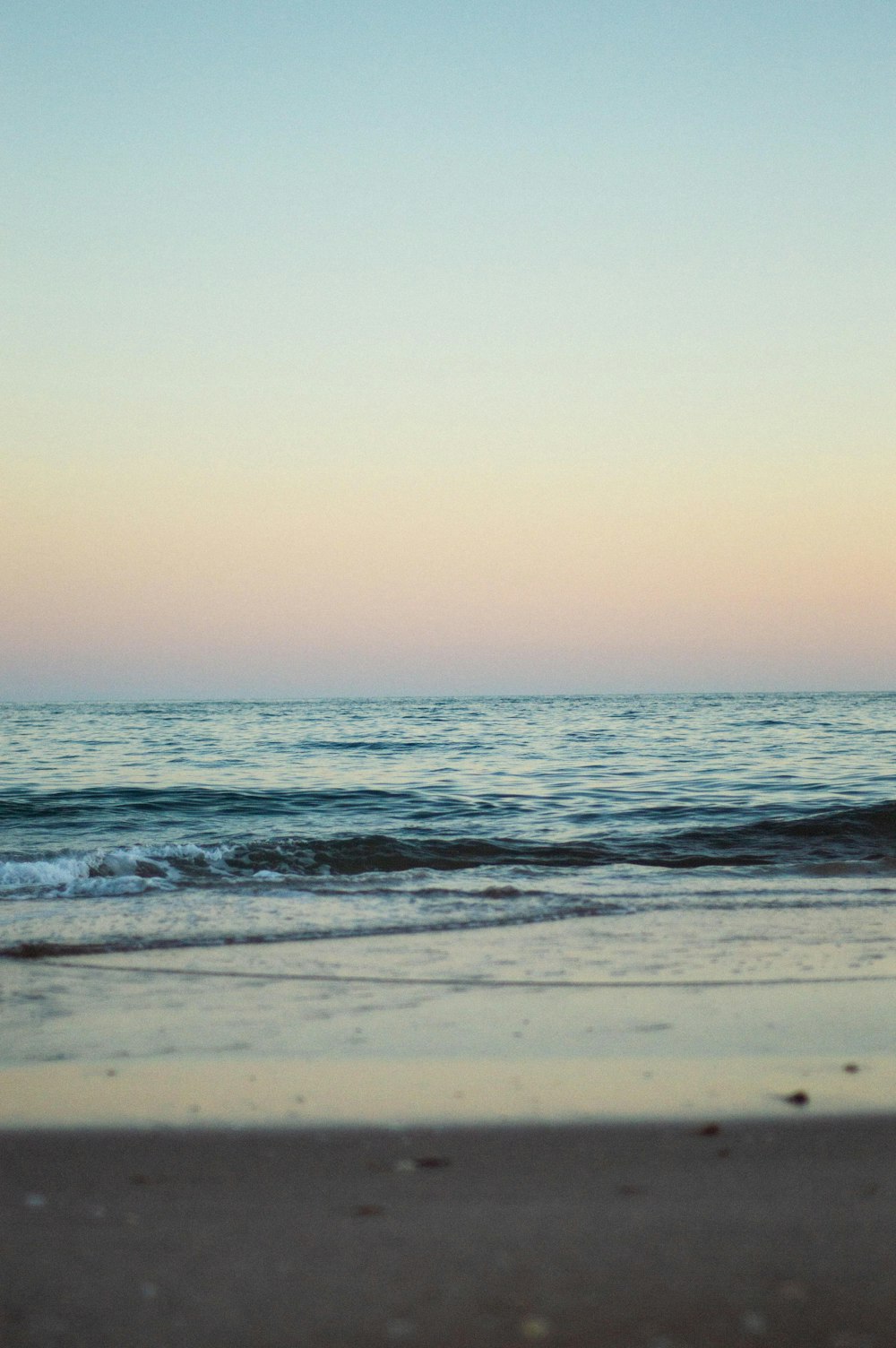 seashore beside body of water