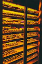 wine bottles in wine chiller