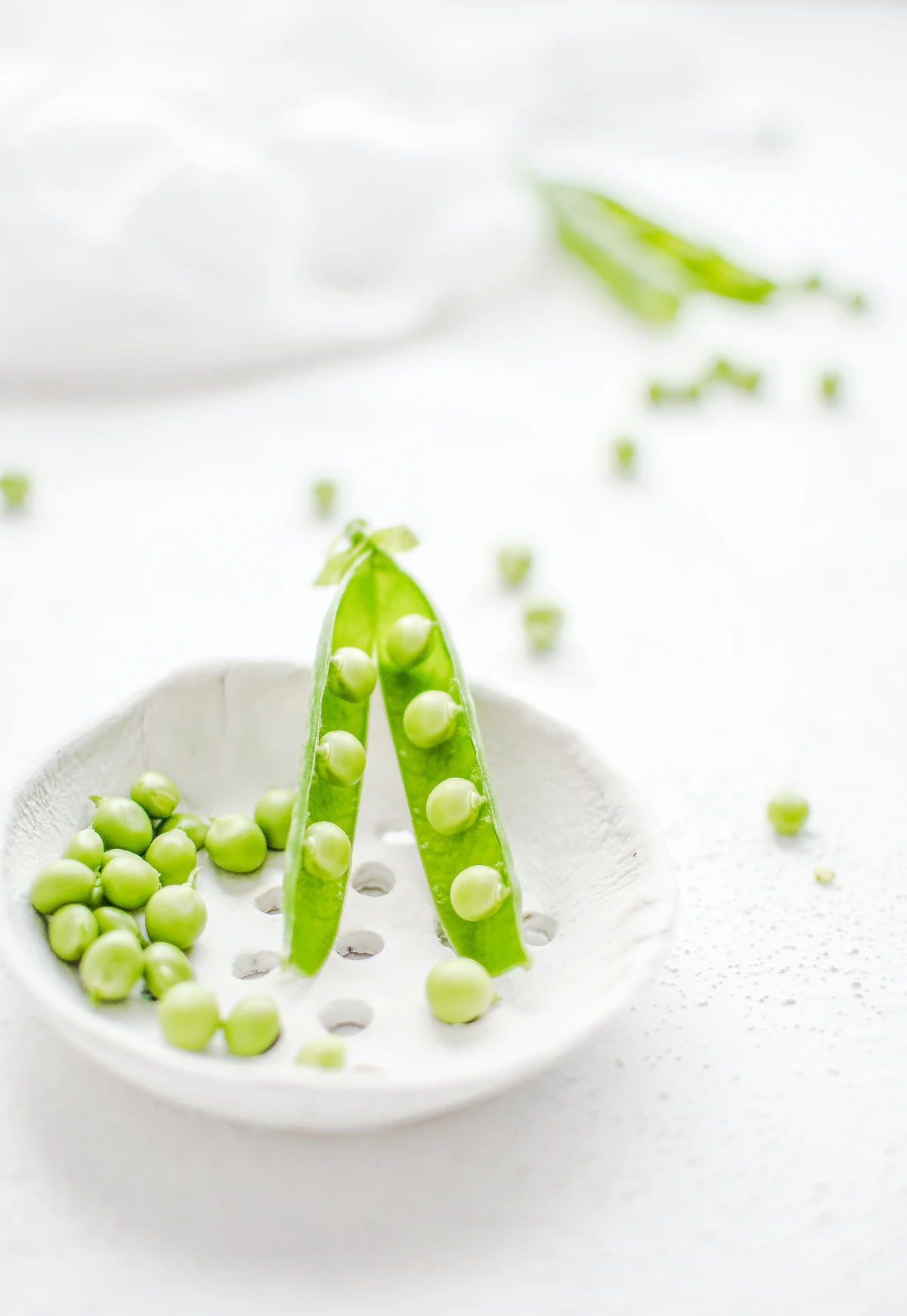 Principles of Inheritance and Variation notes – green pea pods, the plant Mendel used for his experiments