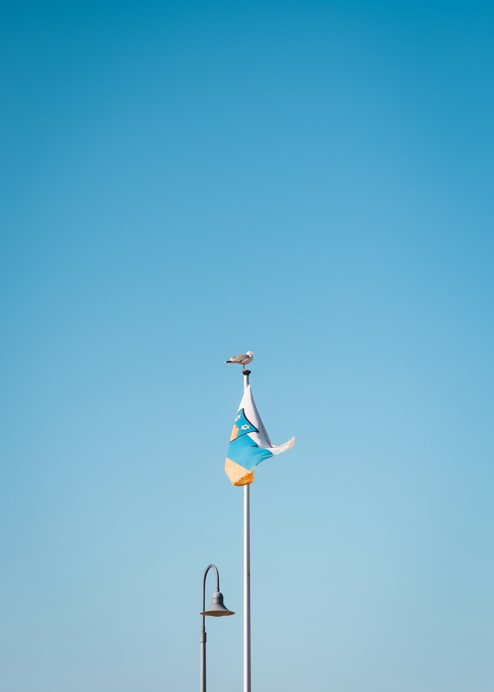 bird perched on flag pole with flag during day
